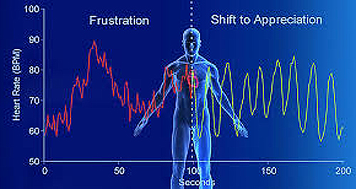 biofeedback graphic