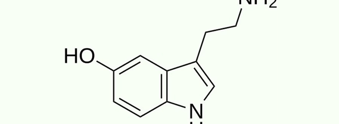 Don't Throw Out the Serotonin Theory Just Yet!