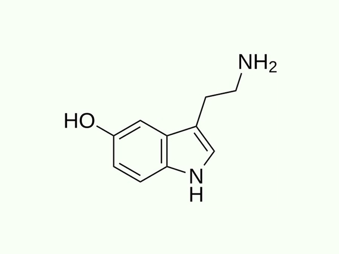 Don’t Throw Out the Serotonin Theory Just Yet!