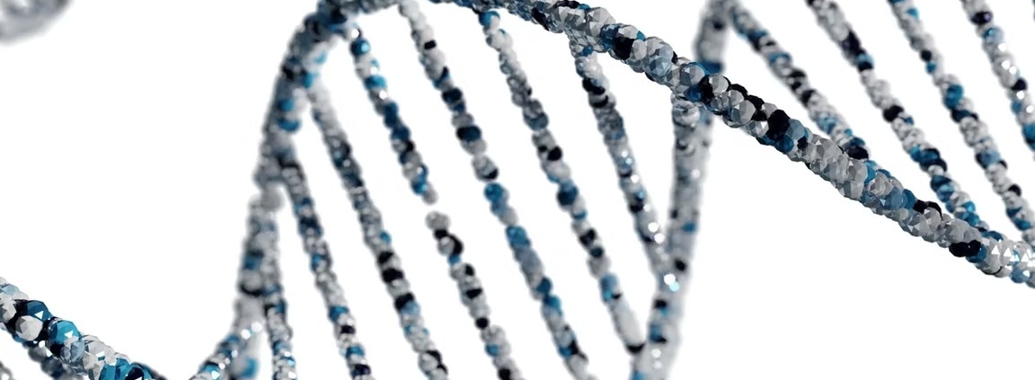 What's in your Genes?