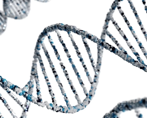 What's in your Genes?