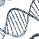 What's in your Genes?